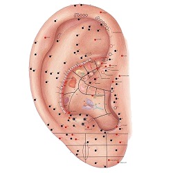 Reflexzones op het oor / oorschelp
